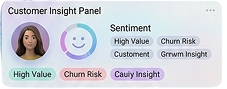 Customer Insight Panel